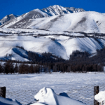 Чемальский район + Чуйский тракт отзыв
