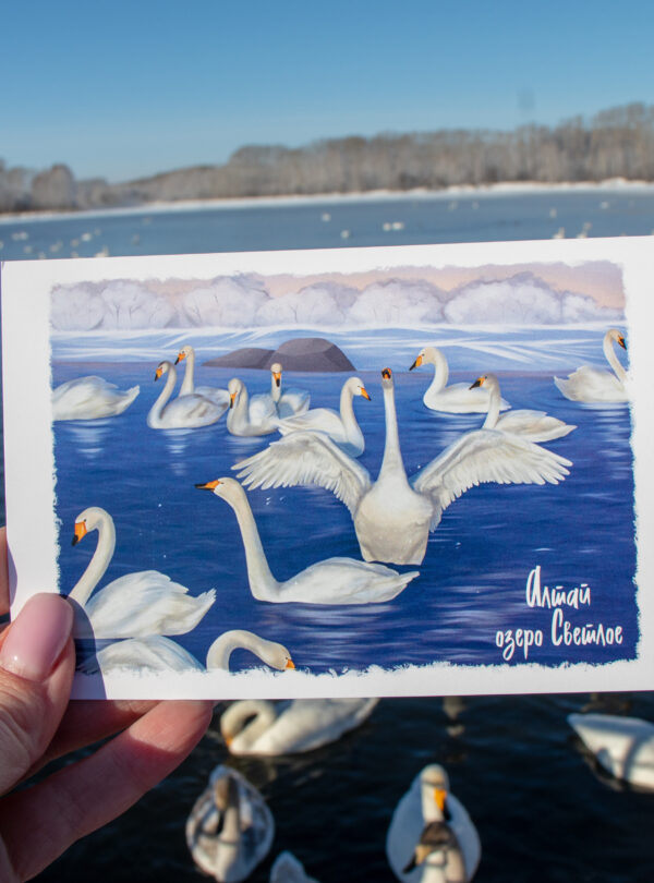 Лебединое озеро