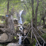 Актив-тур по Алтаю: конные прогулки, трекинг, Чуйский тракт! отзыв