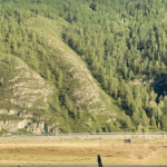 Актив-тур по Алтаю: конные прогулки, трекинг, Чуйский тракт! отзыв