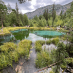 Актив-тур по Алтаю: конные прогулки, трекинг, Чуйский тракт! отзыв