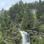 Актив-тур по Алтаю: конные прогулки, трекинг, Чуйский тракт! отзыв