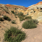 Актив-тур ПЛЮС по Алтаю: конные прогулки, сплав, трекинг, Чуйский тракт!