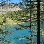 Актив-тур ПЛЮС по Алтаю: конные прогулки, сплав, трекинг, Чуйский тракт!