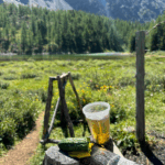 Актив-тур ПЛЮС по Алтаю: конные прогулки, сплав, трекинг, Чуйский тракт!