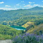 Актив-тур ПЛЮС по Алтаю: конные прогулки, сплав, трекинг, Чуйский тракт!