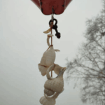 Отзыв Очарование Камчатки