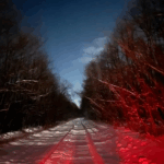 Отзыв Очарование Камчатки