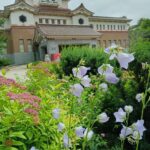 Красивое лето на Сахалине