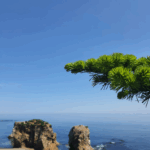 Красивое лето на Сахалине