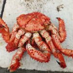 Красивое лето на Сахалине