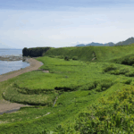 Красивое лето на Сахалине