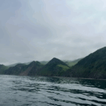 Красивое лето на Сахалине отзыв